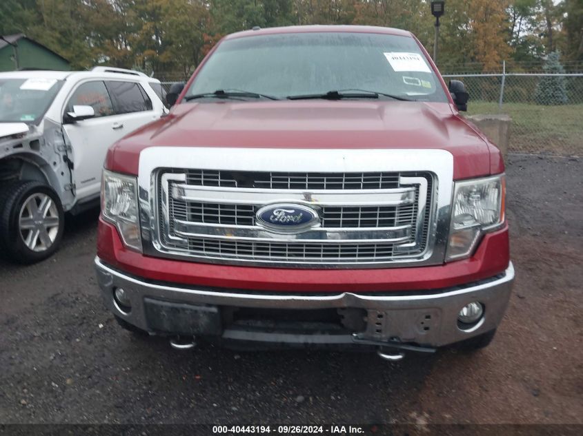 2013 Ford F-150 Xlt VIN: 1FTFW1EF6DKF51801 Lot: 40443194