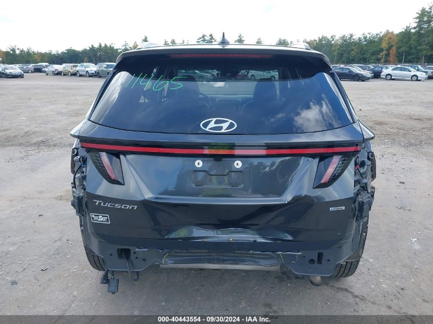 2023 Hyundai Tucson Limited VIN: 5NMJECAE9PH164357 Lot: 40443554