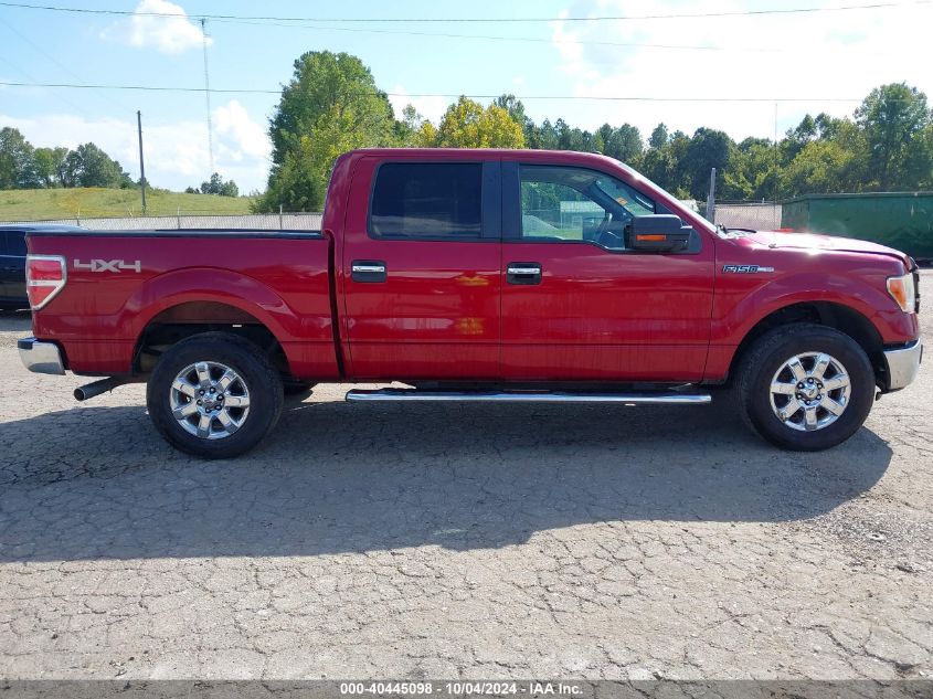 1FTFW1EF5DKE59806 2013 Ford F-150 Xlt