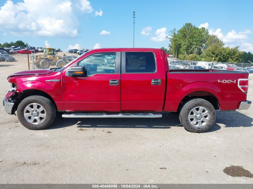 1FTFW1EF5DKE59806 2013 Ford F-150 Xlt