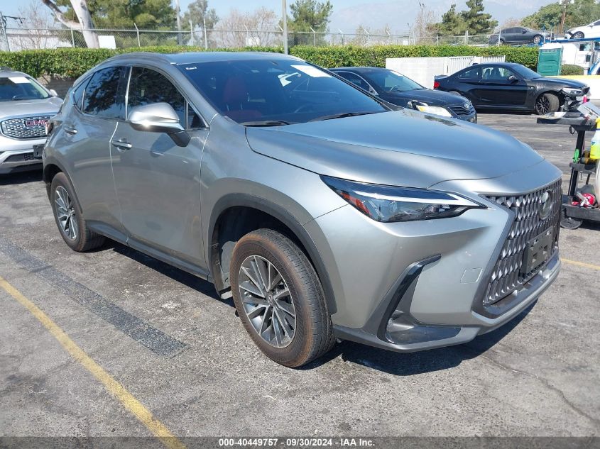 JTJAKCEZ6P5006385 2023 LEXUS NX - Image 1