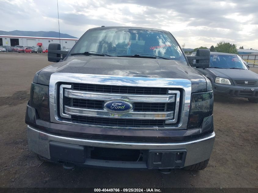 2013 Ford F-150 Xlt VIN: 1FTFX1ET7DFA24782 Lot: 40449766