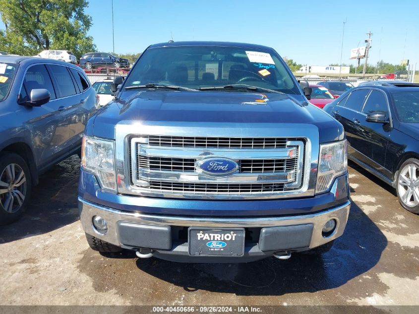 2013 Ford F-150 Xlt VIN: 1FTFW1EF8DKF03250 Lot: 40450656