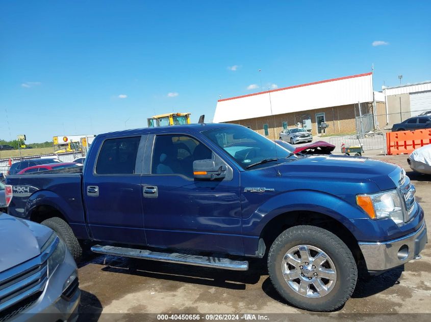 2013 Ford F-150 Xlt VIN: 1FTFW1EF8DKF03250 Lot: 40450656