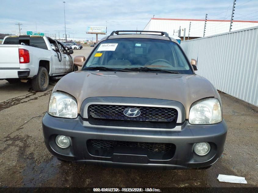 KM8SC13D34U781837 2004 Hyundai Santa Fe Gls