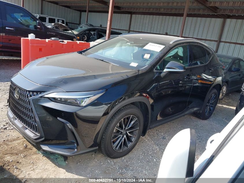 2T2GDCAZ0RC008244 2024 LEXUS NX - Image 2