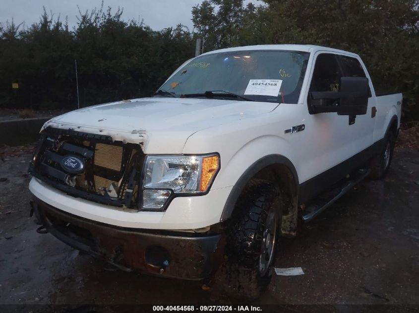 2010 Ford F-150 Fx4/Harley-Davidson/King Ranch/Lariat/Platinum/Xl/Xlt VIN: 1FTFW1EV8AFB89840 Lot: 40454568