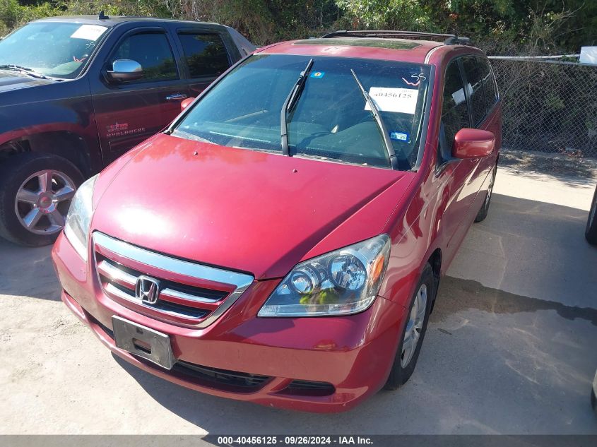 2005 Honda Odyssey Ex-L VIN: 5FNRL38615B070219 Lot: 40456125