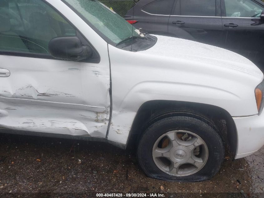 2008 Chevrolet Trailblazer Ls/Lt VIN: 1GNDS13S382243856 Lot: 40457428