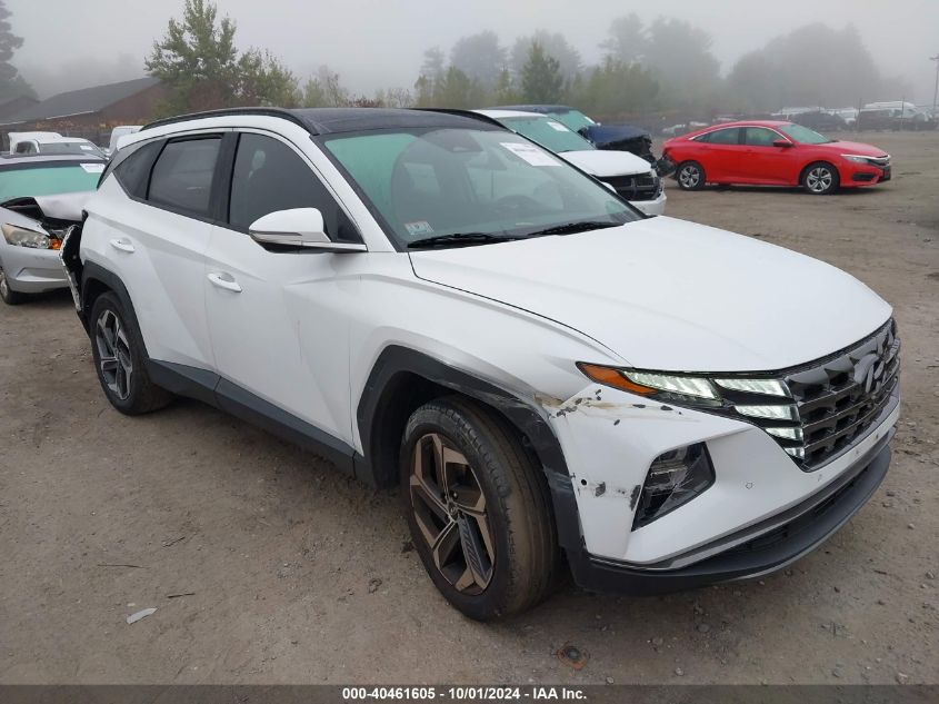 2022 Hyundai Tucson Limited VIN: 5NMJECAE8NH036530 Lot: 40461605