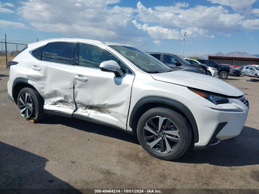 2020 Lexus Nx 300H VIN: JTJGJRDZ5L5002436 Lot: 40464214