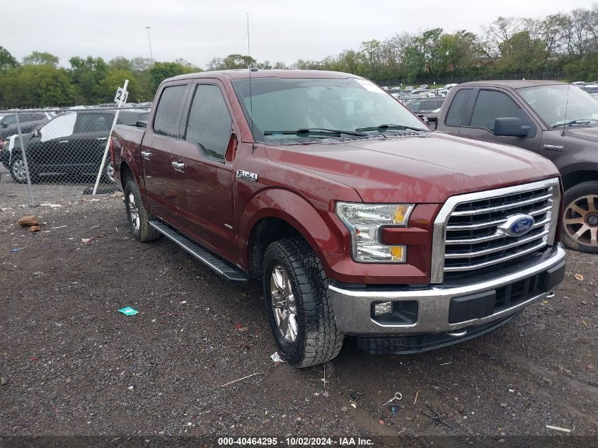 1FTEW1EGXFKE45312 2015 FORD F-150 - Image 1