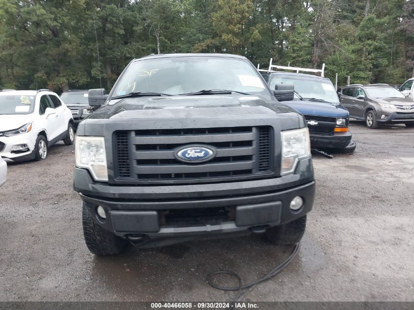 2010 Ford F-150 Stx/Xl/Xlt VIN: 1FTMF1E80AFD22141 Lot: 40466058