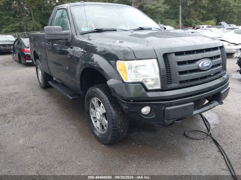 2010 Ford F-150 Stx/Xl/Xlt VIN: 1FTMF1E80AFD22141 Lot: 40466058