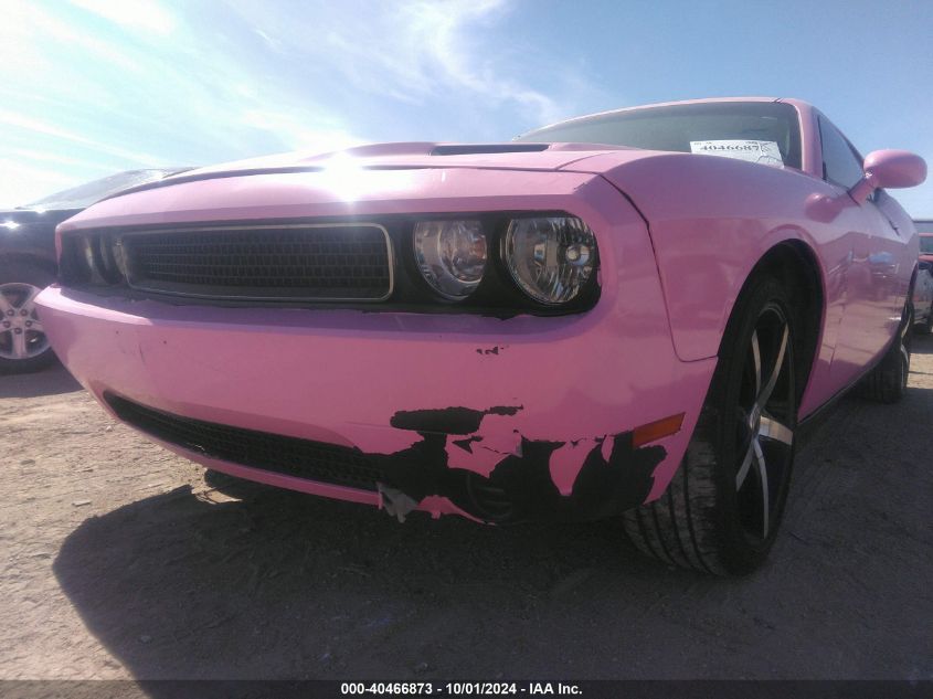 2013 Dodge Challenger Sxt VIN: 2C3CDYAG3DH676623 Lot: 40466873