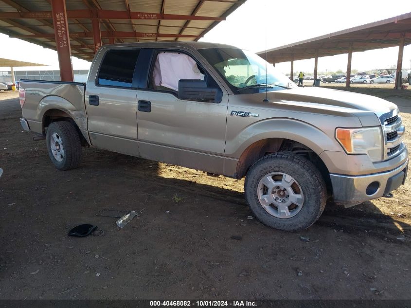 2013 Ford F-150 Xlt VIN: 1FTFW1EF6DFA61190 Lot: 40468082