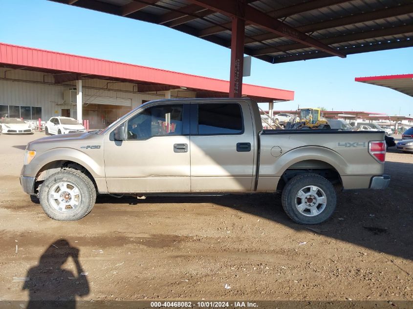 2013 Ford F-150 Xlt VIN: 1FTFW1EF6DFA61190 Lot: 40468082