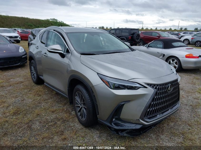 2T2ADCAZ0RC008282 2024 LEXUS NX - Image 1