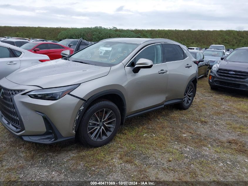 2T2ADCAZ0RC008282 2024 LEXUS NX - Image 2