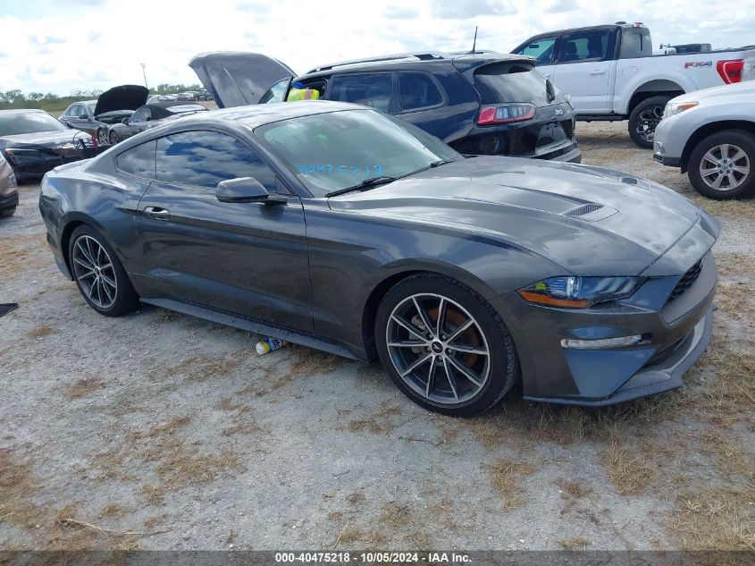 1FA6P8TH6K5150812 2019 FORD MUSTANG - Image 1