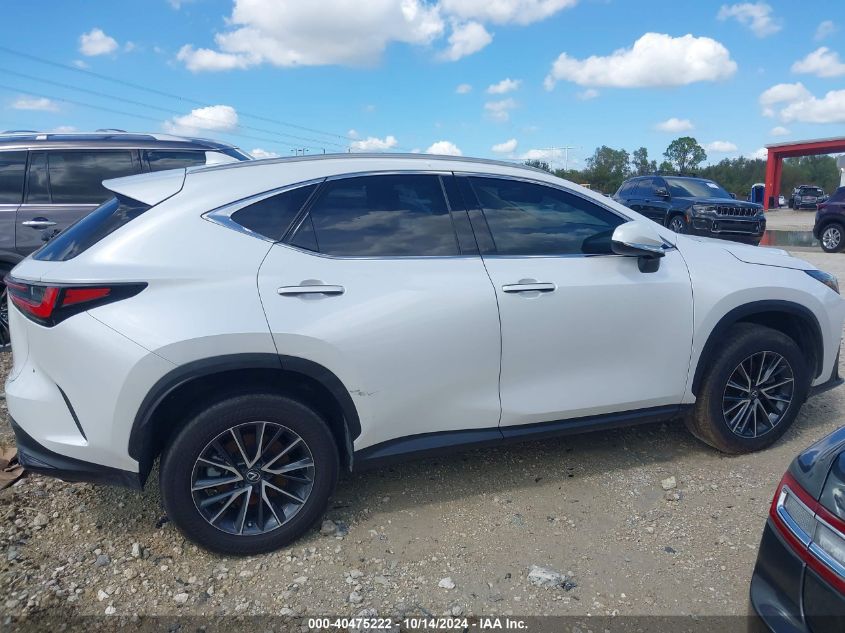 VIN 2T2GGCEZ8PC029292 2023 Lexus NX 350, Premium no.4