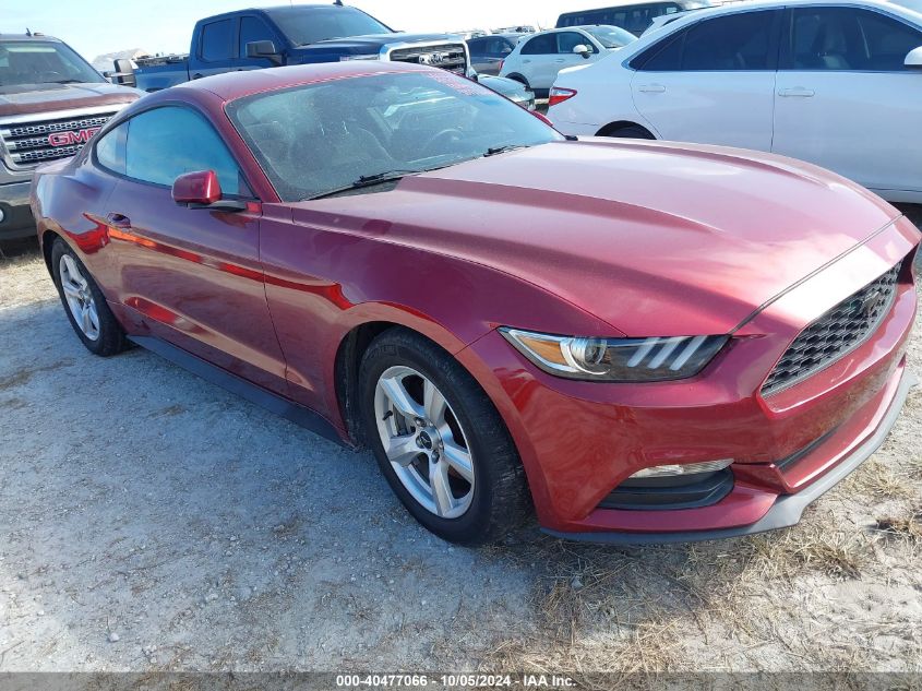 1FA6P8AM0G5228556 2016 FORD MUSTANG - Image 1