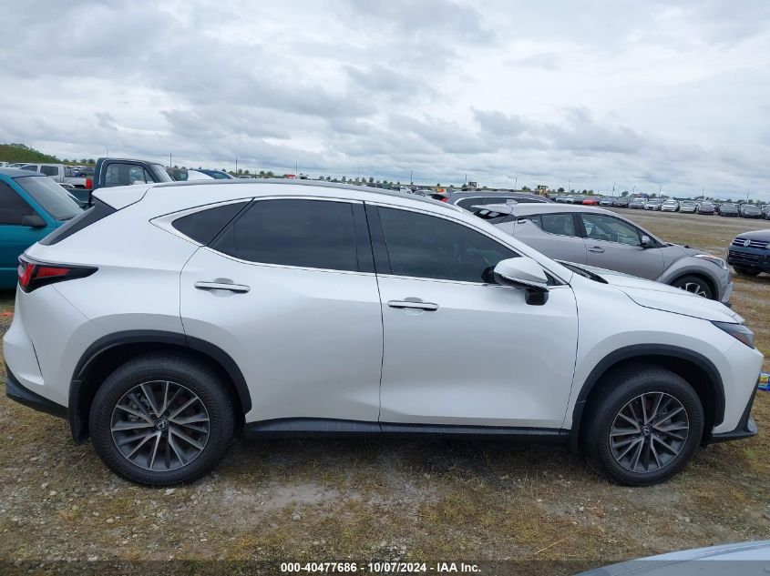 VIN 2T2GDCAZ1RC011217 2024 Lexus NX 250, Premium no.12