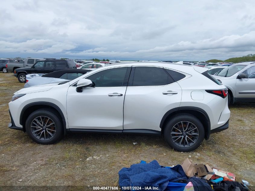 VIN 2T2GDCAZ1RC011217 2024 Lexus NX 250, Premium no.13