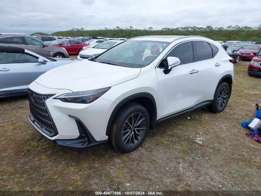 VIN 2T2GDCAZ1RC011217 2024 Lexus NX 250, Premium no.2