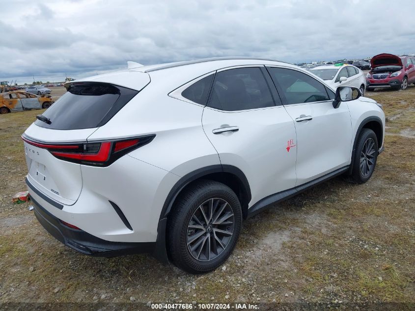 VIN 2T2GDCAZ1RC011217 2024 Lexus NX 250, Premium no.4