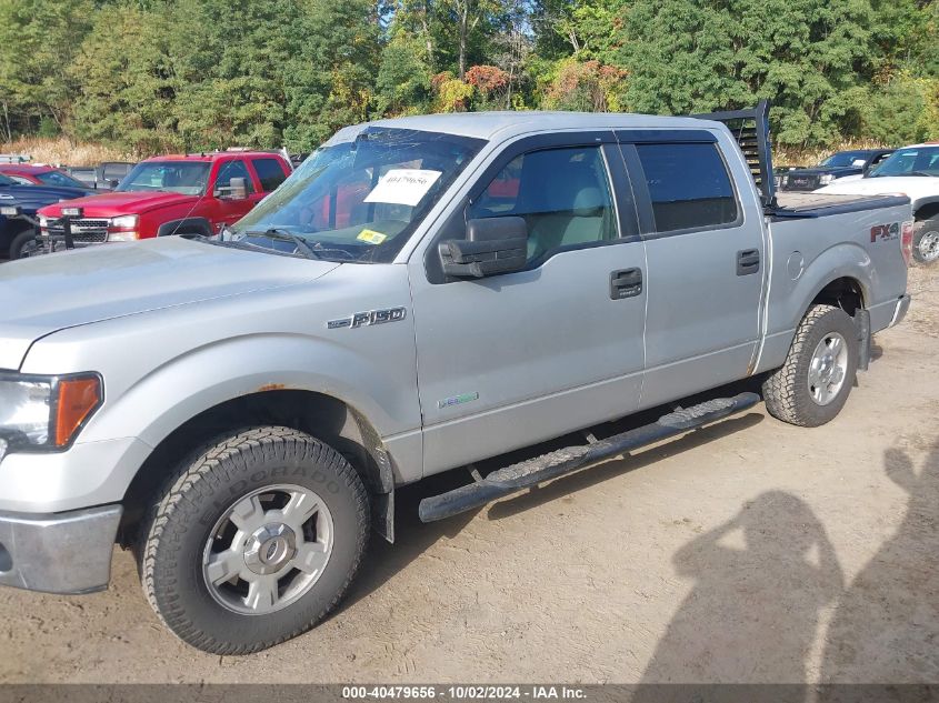 2013 Ford F-150 Fx4/King Ranch/Lariat/Limited/Platinum/Xl/Xlt VIN: 1FTFW1ET5DKD10169 Lot: 40479656