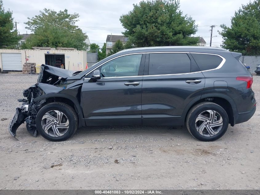 2023 Hyundai Santa Fe Sel VIN: 5NMS2DAJ5PH623836 Lot: 40481083