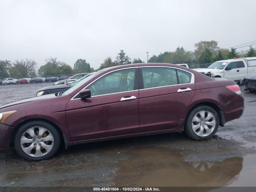 2010 Honda Accord 3.5 Ex-L VIN: 5KBCP3F83AB016513 Lot: 40481804