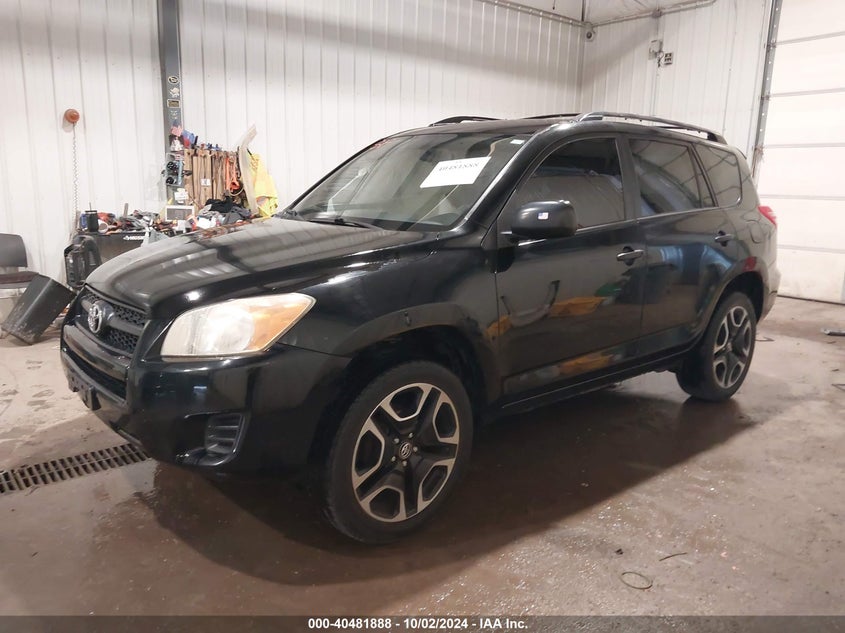 2009 TOYOTA RAV4 VIN: JTMBF33V695002531
