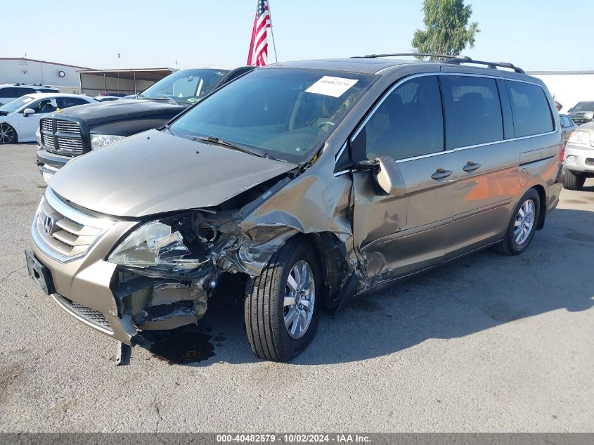 2009 Honda Odyssey Ex-L VIN: 5FNRL38629B404327 Lot: 40482579