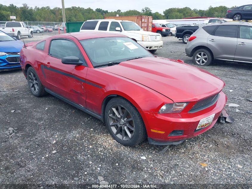 2011 Ford Mustang V6 Premium VIN: 1ZVBP8AMXB5101764 Lot: 40484377