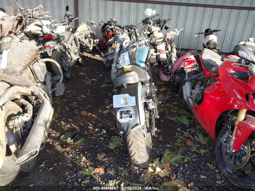 2007 Harley-Davidson Fxdl VIN: 1HD1GN4147K323870 Lot: 40485567