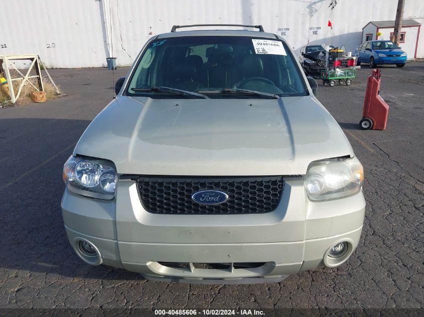 2005 Ford Escape Limited VIN: 1FMYU04195KB29324 Lot: 40485606