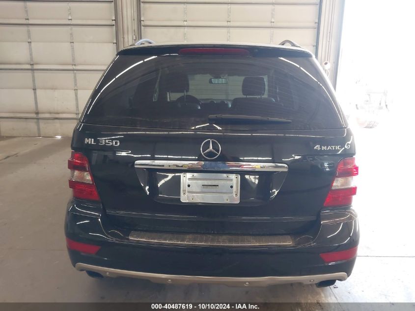 2010 Mercedes-Benz Ml 350 4Matic VIN: 4JGBB8GB6AA569046 Lot: 40487619