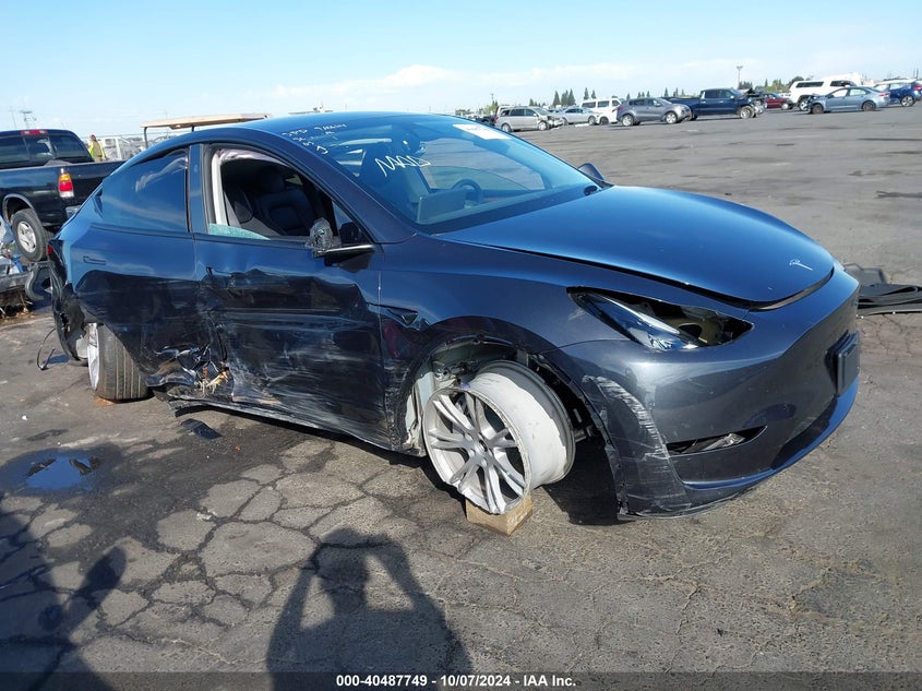 2024 TESLA MODEL Y  (VIN: 7SAYGAEE8RF069271)