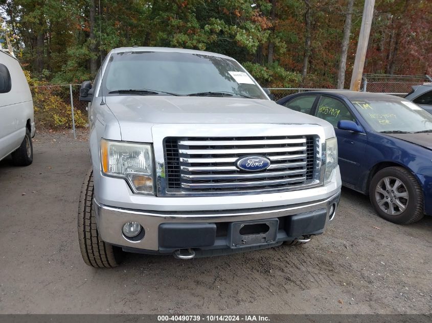 2010 Ford F-150 VIN: 1FTFX1EV3AFD30603 Lot: 40490739