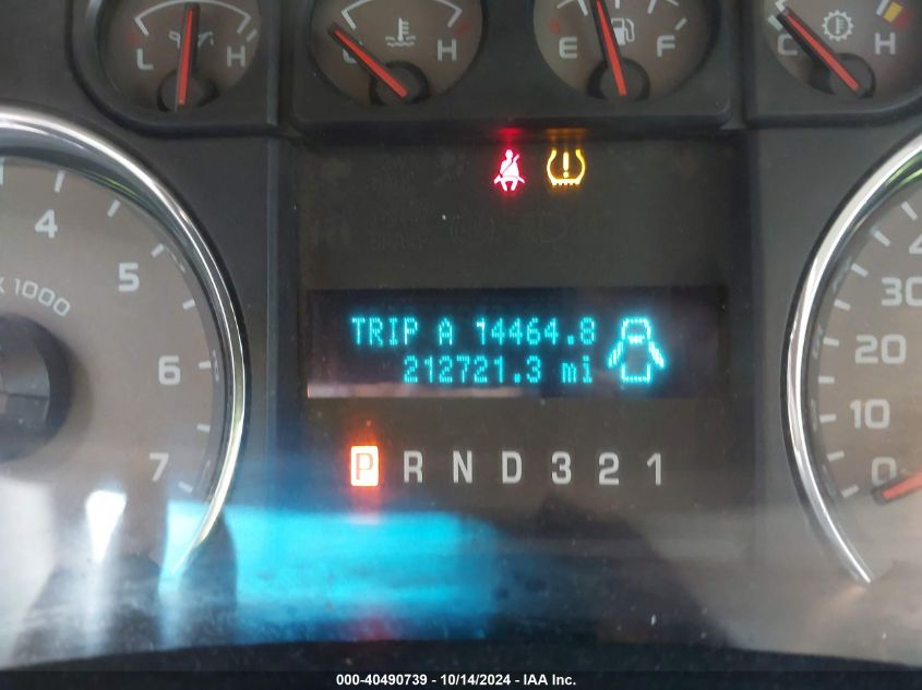 2010 Ford F-150 VIN: 1FTFX1EV3AFD30603 Lot: 40490739