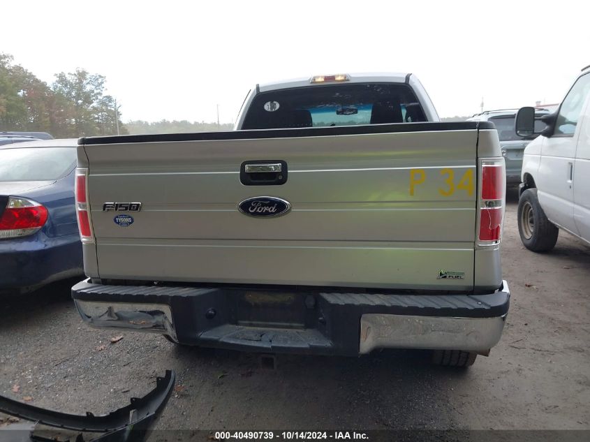 2010 Ford F-150 VIN: 1FTFX1EV3AFD30603 Lot: 40490739