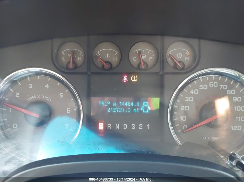 2010 Ford F-150 VIN: 1FTFX1EV3AFD30603 Lot: 40490739