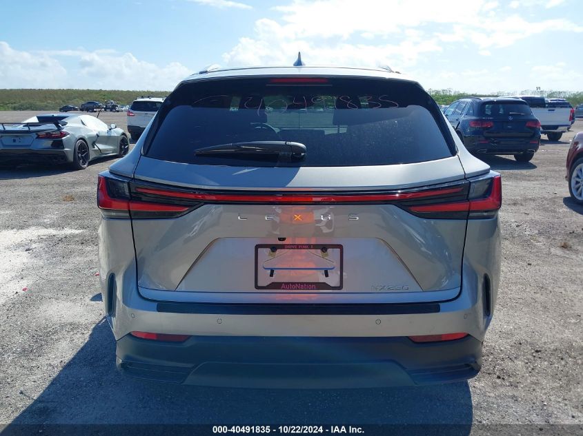 VIN 2T2GDCAZ3SC020880 2025 Lexus NX 250, Premium no.16