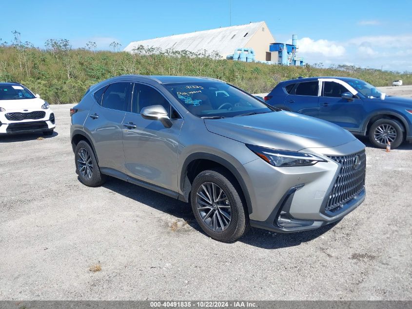 2025 Lexus NX 250, Premium