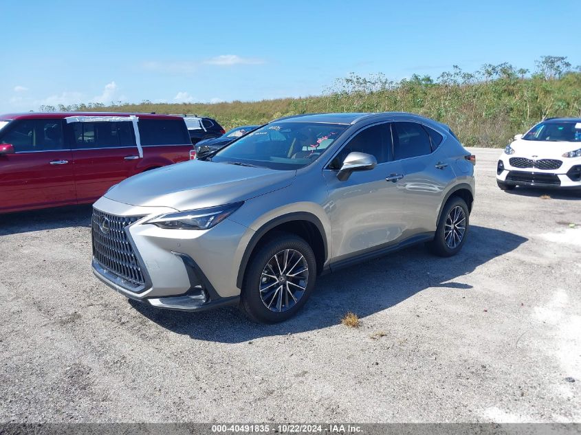 VIN 2T2GDCAZ3SC020880 2025 Lexus NX 250, Premium no.2