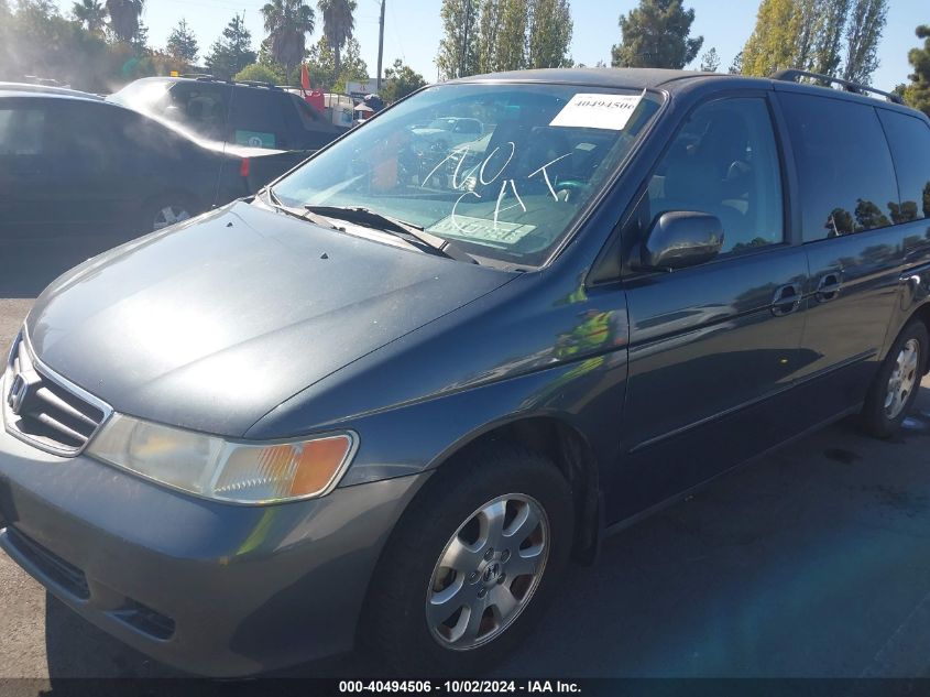 2004 Honda Odyssey Ex-L VIN: 5FNRL18074B005812 Lot: 40494506