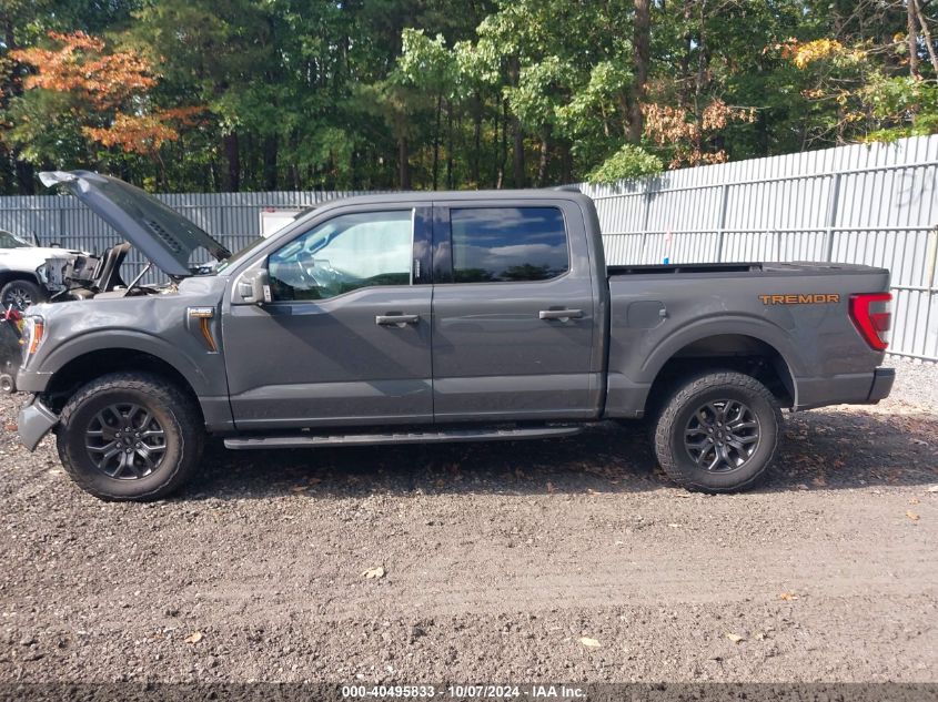 2021 FORD F-150 KING RANCH/LARIAT/LIMITED/PLATINUM/TREMOR/XL/XLT - 1FTEW1E86MFC57742