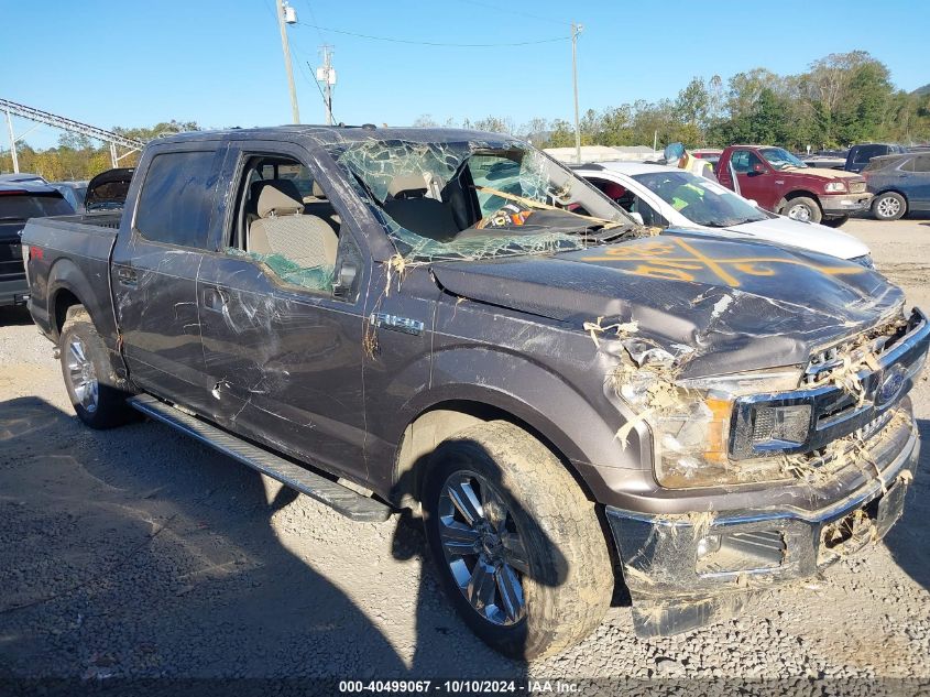 2018 FORD F-150 XLT - 1FTEW1EG8JFA13125